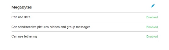 How_do_I_enable_Ting_data_GSM.jpg